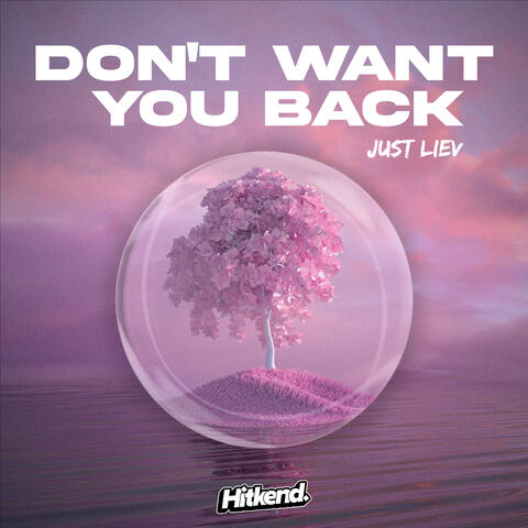 Don't Want You Back