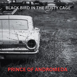 Black Bird in the Rusty Cage