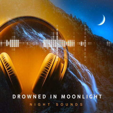 Drowned in Moonlight