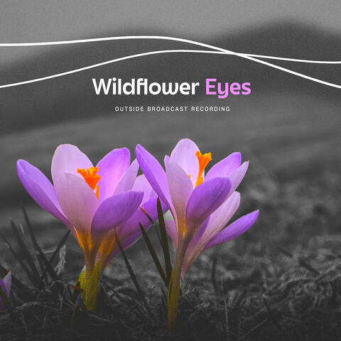 Wildflower Eyes
