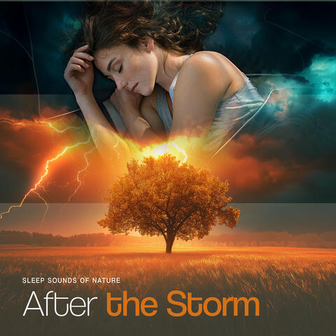 After the Storm