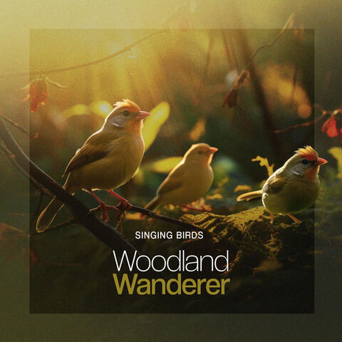 Woodland Wanderer