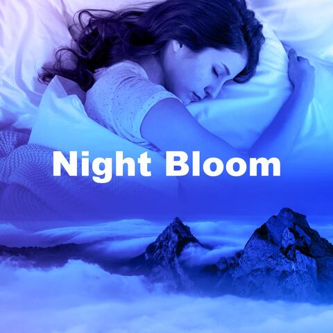 Night Bloom