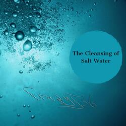 The Cleansing of Salt Water