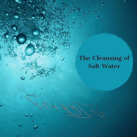 The Cleansing of Salt Water