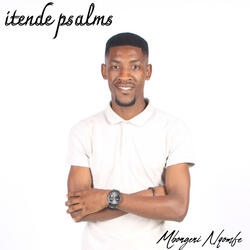 THEMBA LIMBI ANDINALO