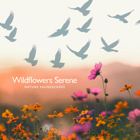Wildflowers Serene