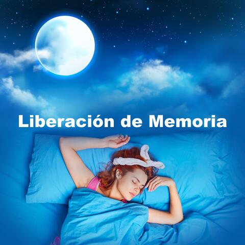 Liberación de Memoria
