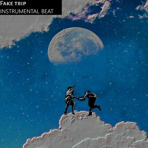 Fake Trip