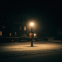 Winter Nights