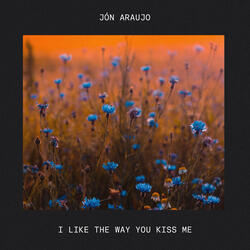 i like the way you kiss me