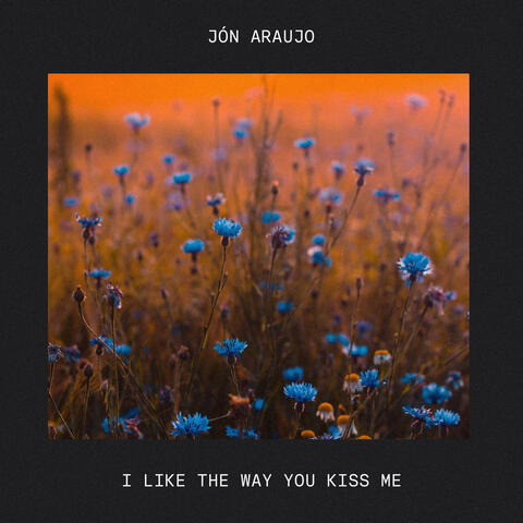 i like the way you kiss me