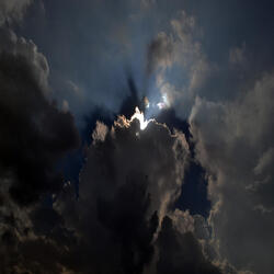 A Miracle in Progress