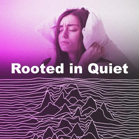 Rooted in Quiet