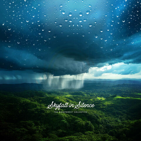 Skyfall In Silence