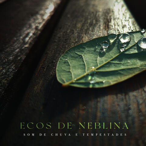 Ecos de Neblina