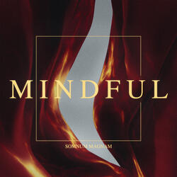 Mindful