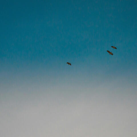 Aperture