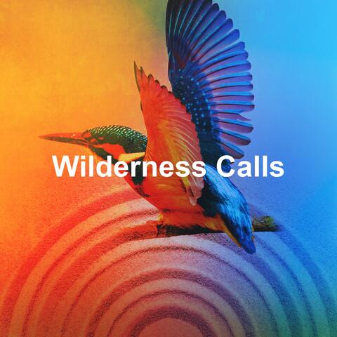 Wilderness Calls