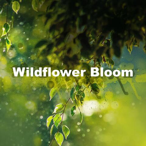 Wildflower Bloom