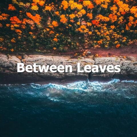 Between Leaves