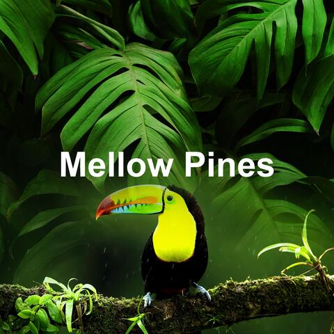 Mellow Pines