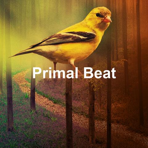 Primal Beat