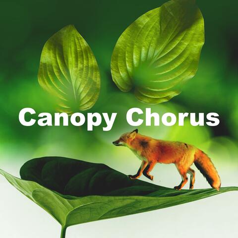 Canopy Chorus