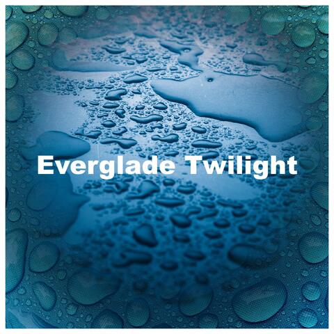 Everglade Twilight