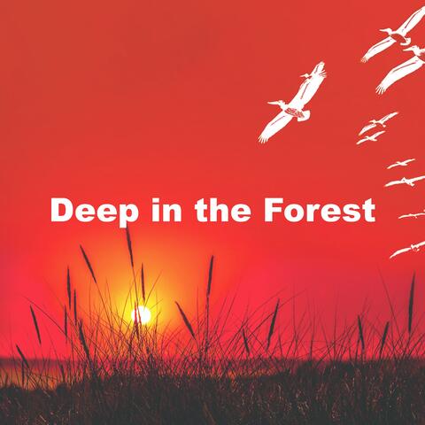 Deep in the Forest