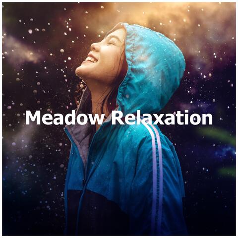 Meadow Relaxation