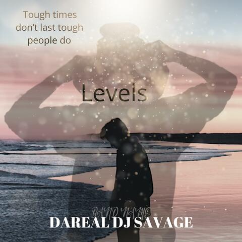 Levels
