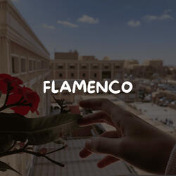flamenco