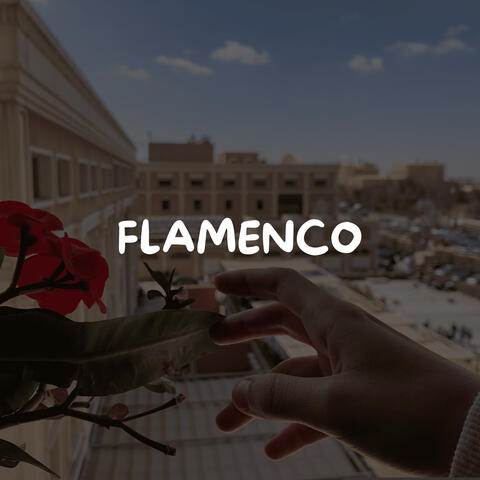 flamenco