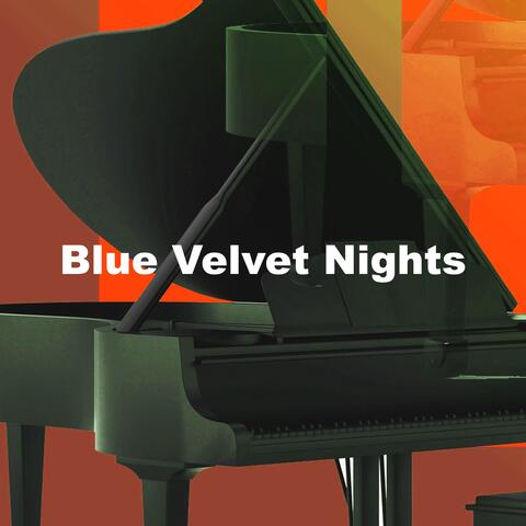 Blue Velvet Nights
