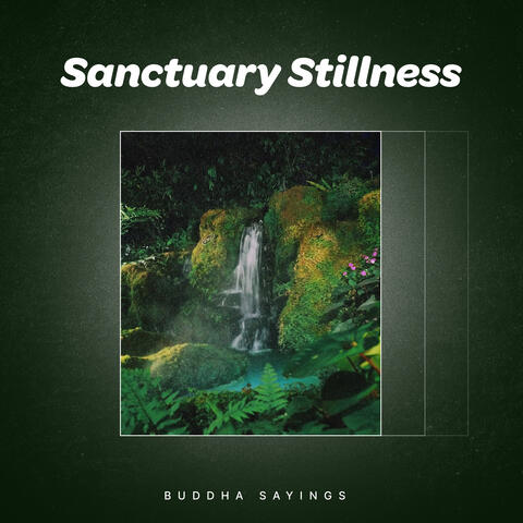 Sanctuary Stillness