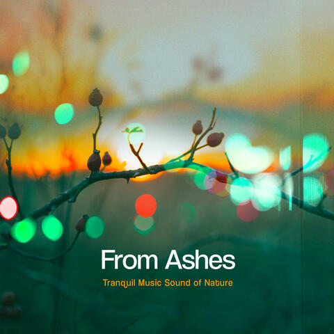 From Ashes