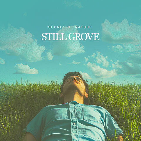 Still Grove