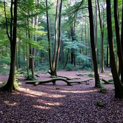 Reflexo Do Céu Azul