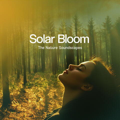 Solar Bloom