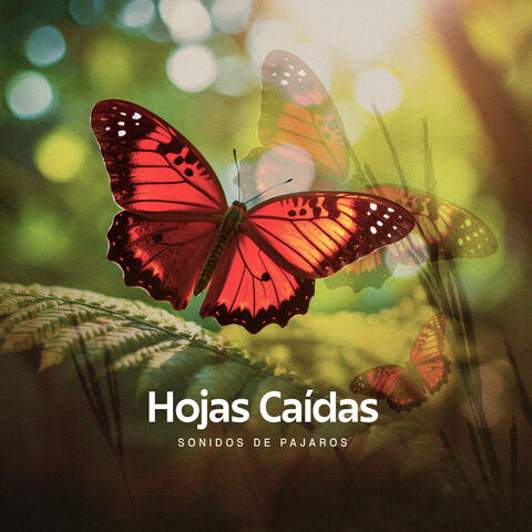 Hojas Caídas