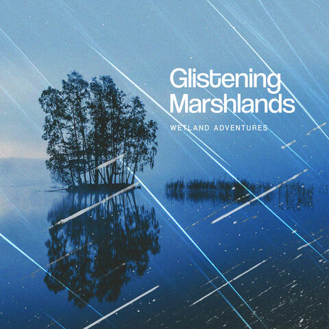 Glistening Marshlands