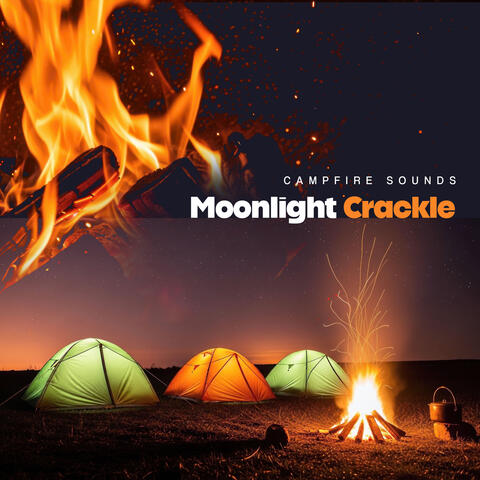 Moonlight Crackle