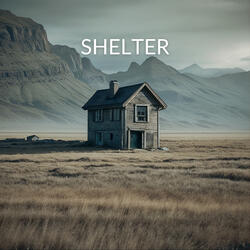 Shelter