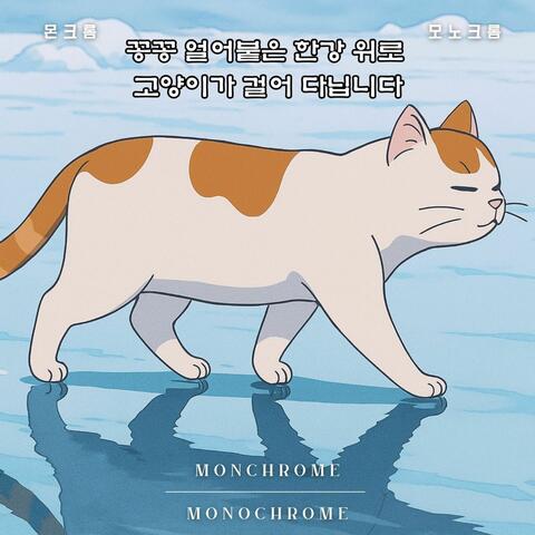 꽁꽁 얼어붙은 한강 위로 고양이가 걸어 다닙니다
