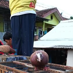 Naik sepeda
