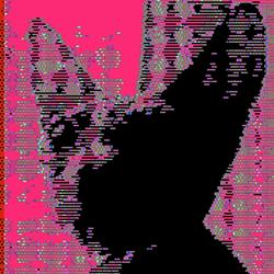 Insects Ate My Entrails