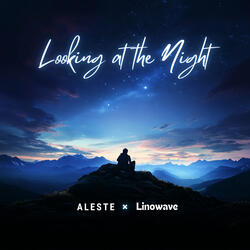 Looking at the Night