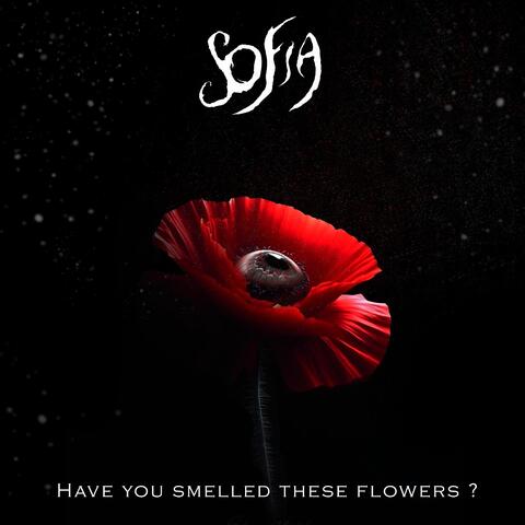 Have You Smelled These Flowers ?