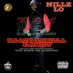 BLACK GORILLA FAMILY